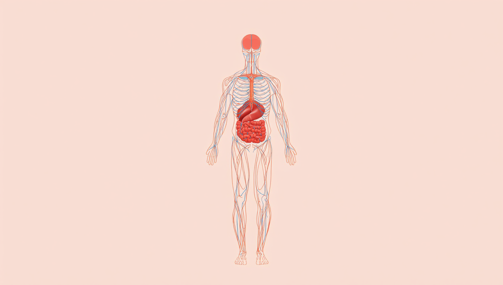 Como o Corpo Perde Peso? Especialista Explica que Não Há Uma Fórmula Única
